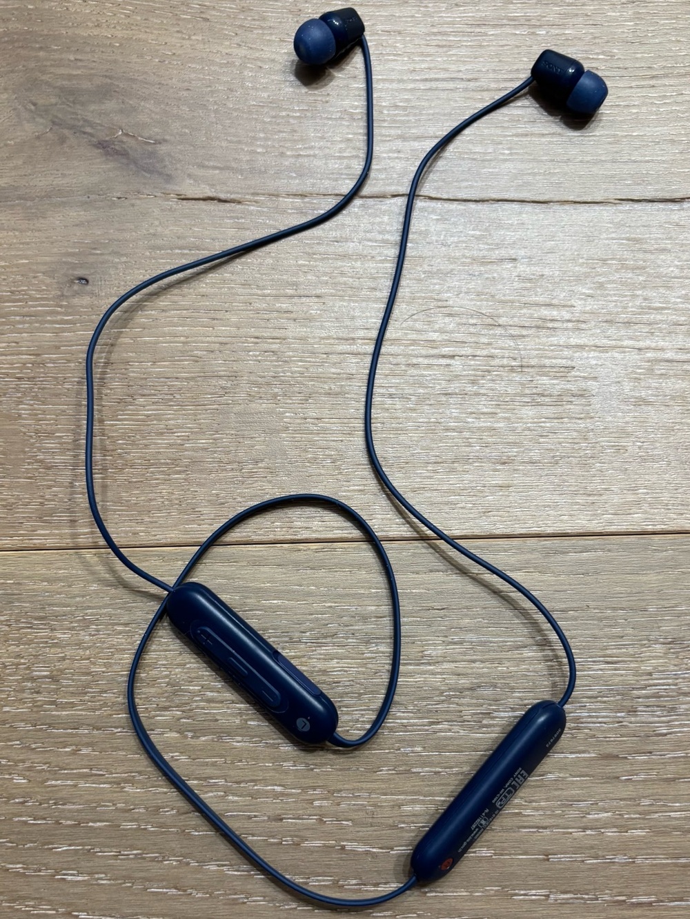 Sony WI-C100 earbuds